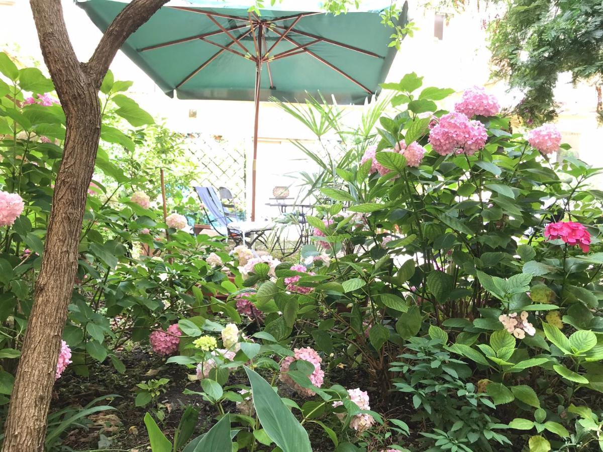 Cynthia'S Garden - Apartment With Private Garden In Santa Croce Florencja Zewnętrze zdjęcie